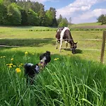 Chalet Na Mazurach W Otulinie Lesnej 