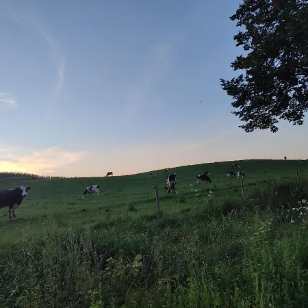 Na Mazurach W Otulinie Lesnej 