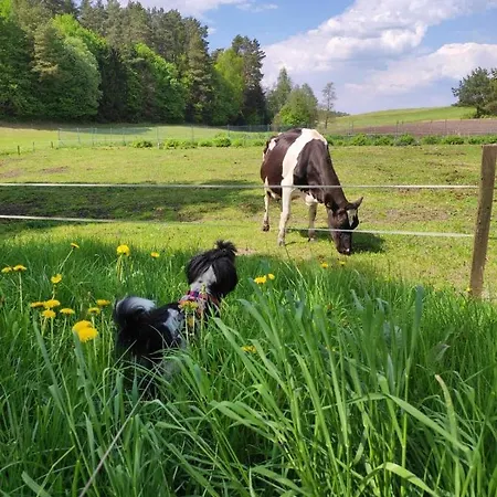 Chalet Na Mazurach W Otulinie Lesnej 