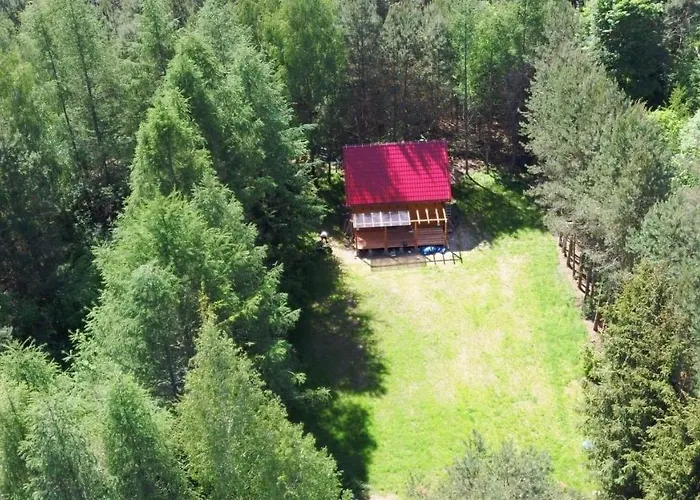 Na Mazurach W Otulinie Lesnej 